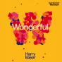 Wonderful - Preview