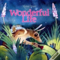 Capa do artigo Wonderful Life