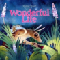 Wonderful Life - Preview