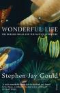 Wonderful Life - Preview
