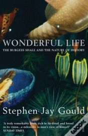 Capa do artigo Wonderful Life