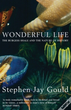 Capa do artigo Wonderful Life