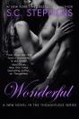 Wonderful - Preview