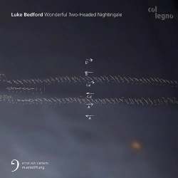 Capa do artigo Wonderful Two-Headed Nightingale - CD