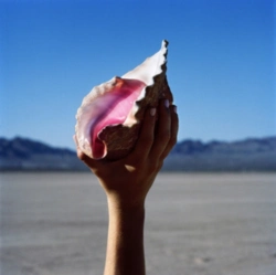Capa do artigo Wonderful Wonderful - CD