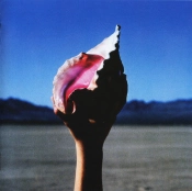 Capa do artigo Wonderful Wonderful - CD