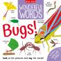 Wonderful Words: Bugs! - Preview