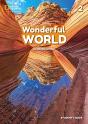 Wonderful World 2 - Preview