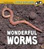 Wonderful Worms - Preview
