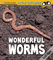 Capa do artigo Wonderful Worms