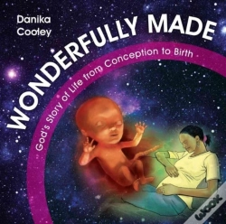 Capa do artigo Wonderfully Made