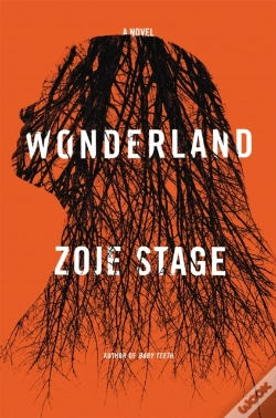 Capa do artigo Wonderland