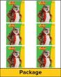 Wonders, Grade 4, Teacher'S Edition Package - Preview