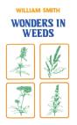 Wonders In Weeds - Preview