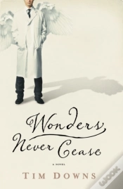 Capa do artigo Wonders Never Cease