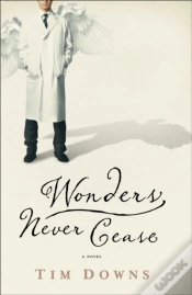 Capa do artigo Wonders Never Cease