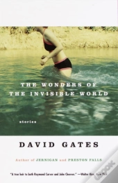 Wonders Of The Invisible World