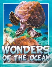 Wonders Of The Ocean