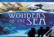 Wonders Of The Sea