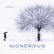 Capa do artigo Wondrous - CD