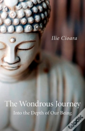 Capa do artigo Wondrous Journey