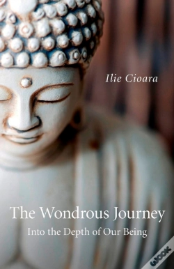 Capa do artigo Wondrous Journey