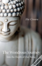 Capa do artigo Wondrous Journey, The - Into The Depth Of Our Being