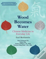 Capa do artigo Wood Becomes Water