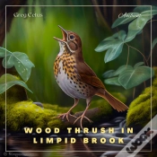 Capa do artigo Wood Thrush In Limpid Brook