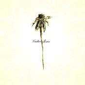 Capa do artigo Wooden Arms - CD