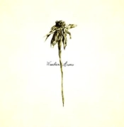 Capa do artigo Wooden Arms - Vinil