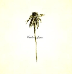Capa do artigo Wooden Arms - Vinil
