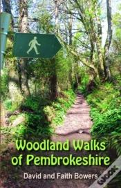 Capa do artigo Woodland Walks In Pembrokeshire