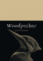 Woodpecker - Preview