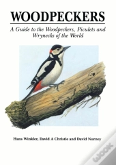 Woodpeckers