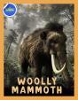 Woolly Mammoth Activity Workbook Ages 4-8 - Preview