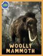 Woolly Mammoth Activity Workbook Ages 4-8 - Preview