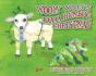 Wooly Willy'S Baaaa Humbug Christmas - Preview