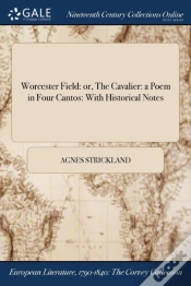 Capa do artigo Worcester Field