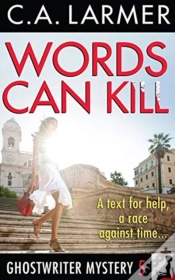 Capa do artigo Words Can Kill