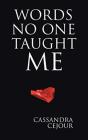 Words No One Taught Me - Preview