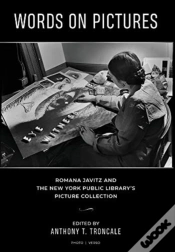 Capa do artigo Words On Pictures