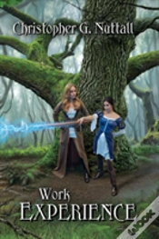 Capa do artigo Work Experience