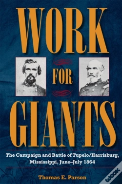 Capa do artigo Work For Giants