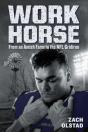 Work Horse - Preview