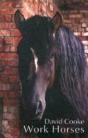 Work Horses - Preview