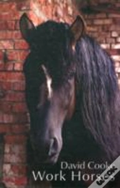 Capa do artigo Work Horses
