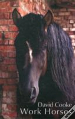 Capa do artigo Work Horses