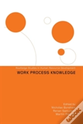 Work Process Knowledge