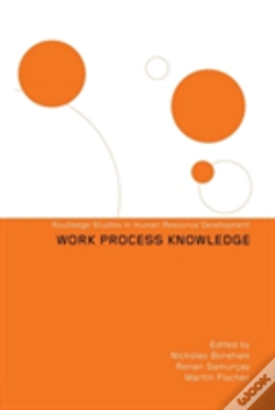 Capa do artigo Work Process Knowledge